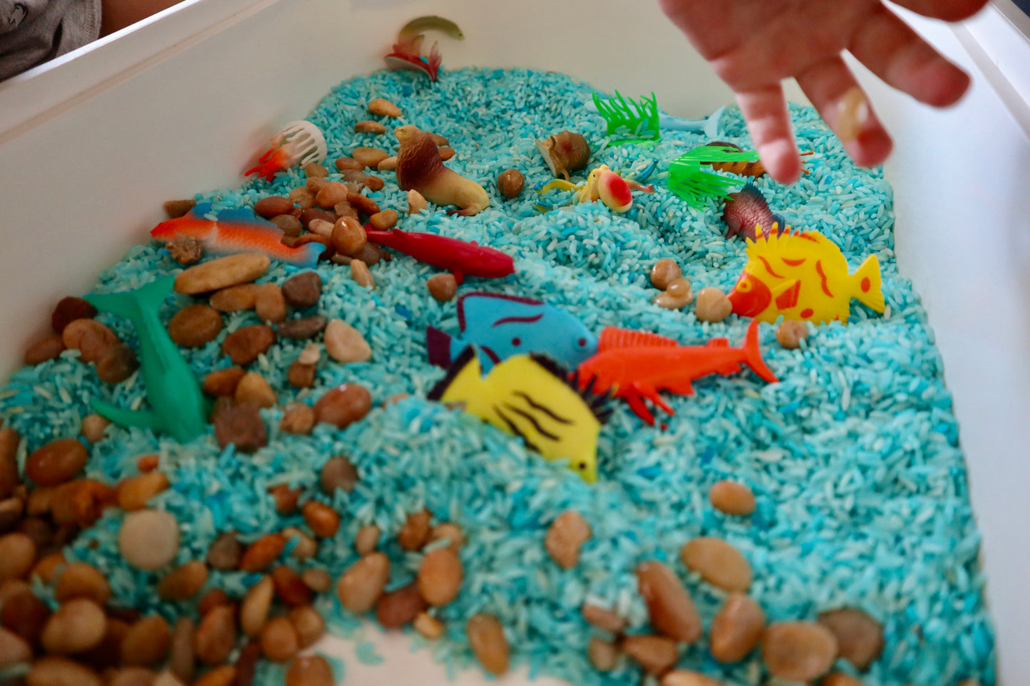 Ocean Breeze Sensory Bin Filler