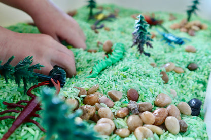 Garden Critters Sensory Bin Filler