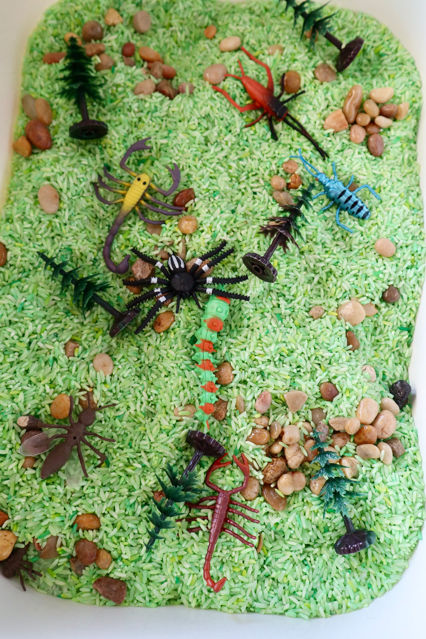 Garden Critters Sensory Bin Filler