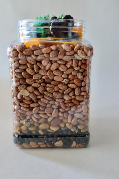 Construction Builder Sensory Bin Filler