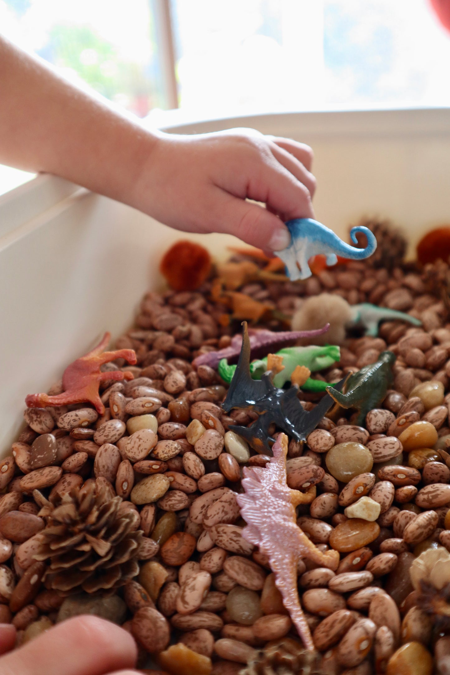 Dino Dig Sensory Bin Filler